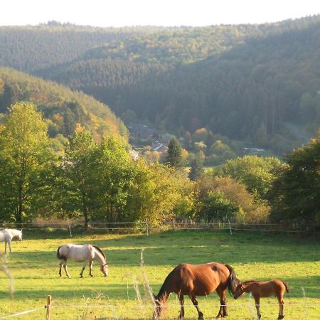 Pretty Cottage Ardennes Near The Valley Of Lesse Vencimont Exterior foto