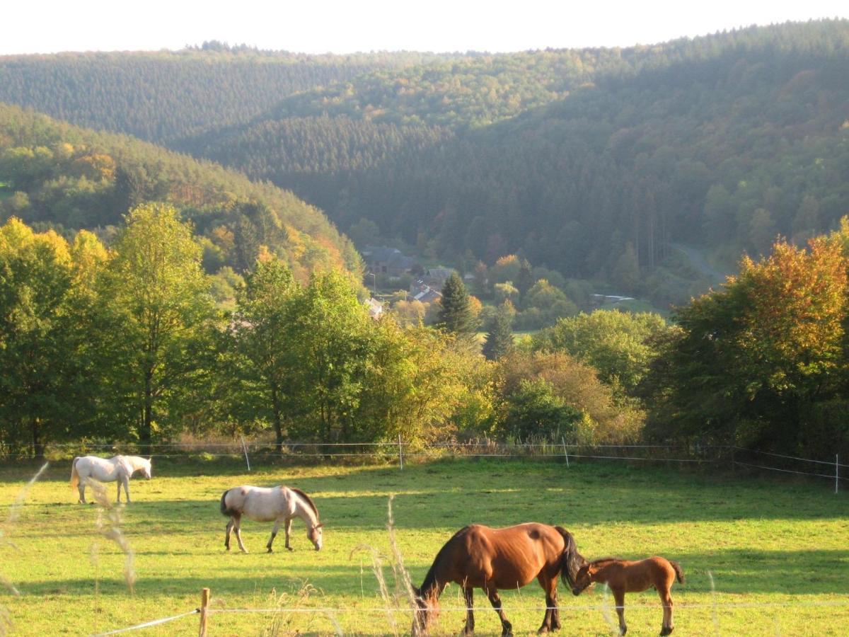 Pretty Cottage Ardennes Near The Valley Of Lesse Vencimont Exterior foto